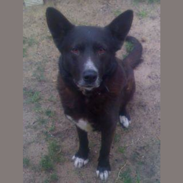 Photo of Urgent Foster Care By Sunday