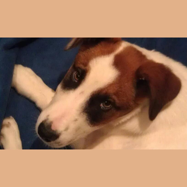 Photo of Relax With Max