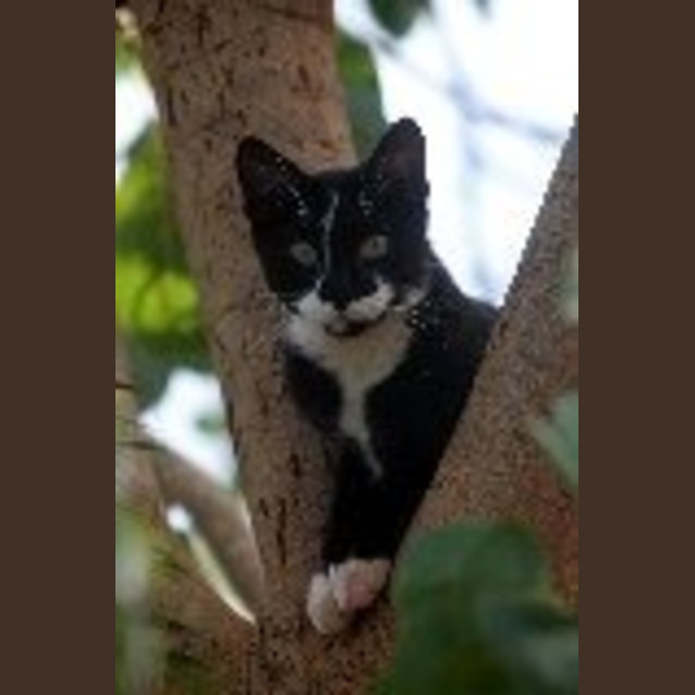Photo of Masafa