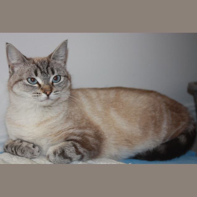 Photo of Sweetie