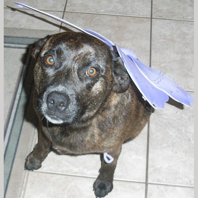Photo of Angel Lilly