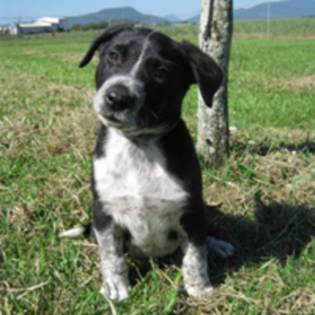 Photo of Trader
