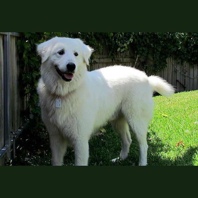 Photo of Dazza
