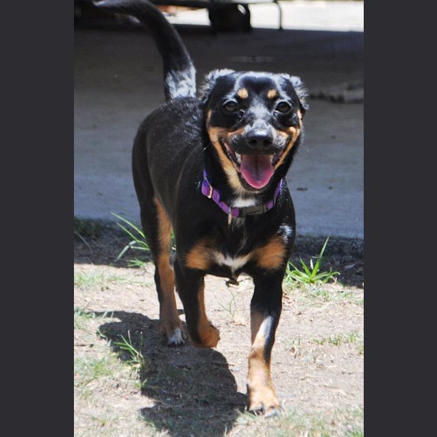 Photo of Isolde (Little Isa)
