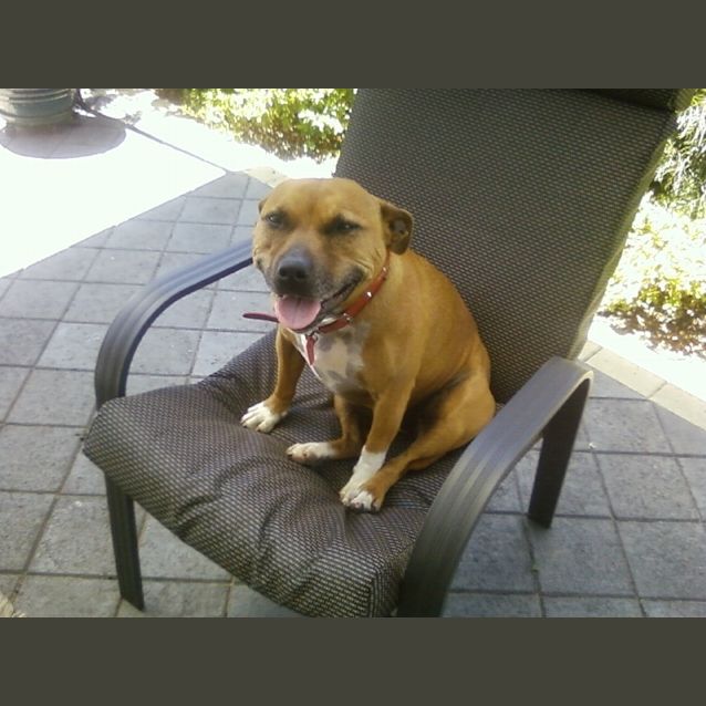 Photo of Angie