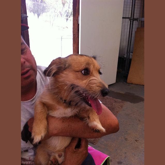 Photo of Tick Av368 **In The Shelter**