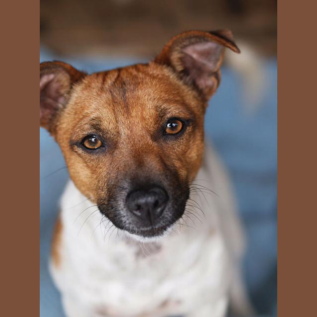 Photo of Clyde