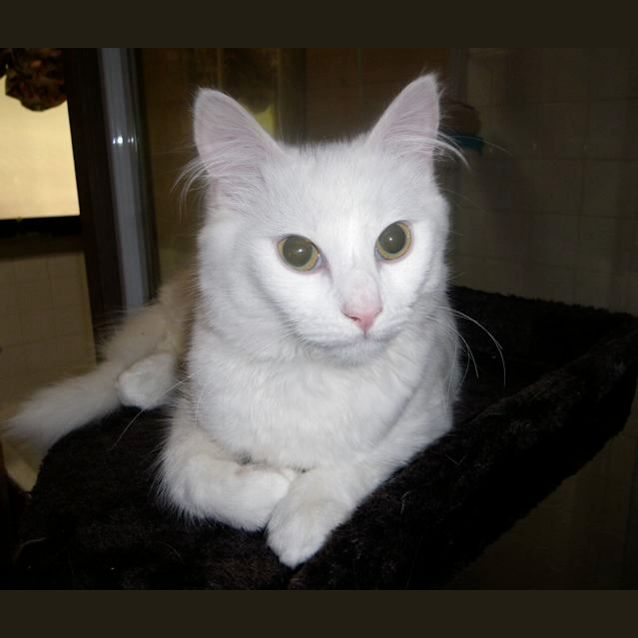 Photo of Charlie