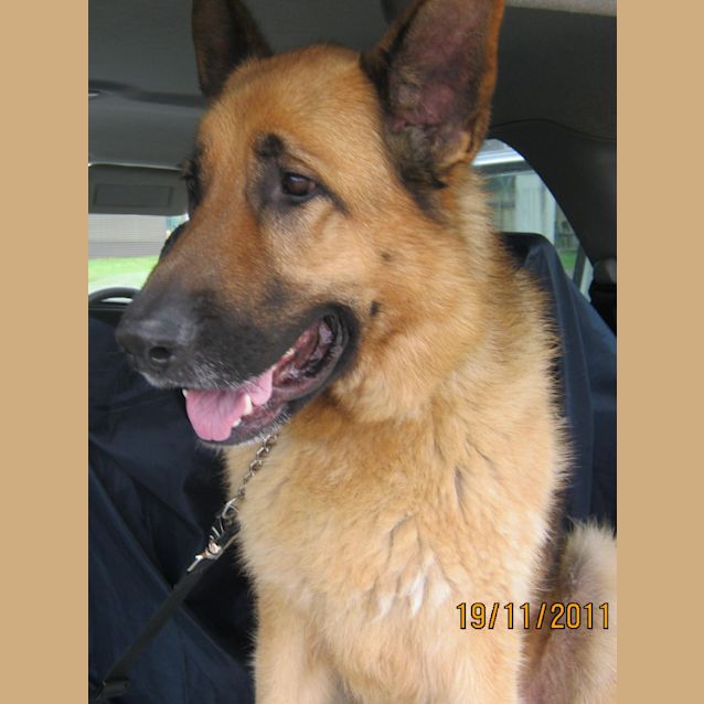Photo of Diezel On Trial With His New Family