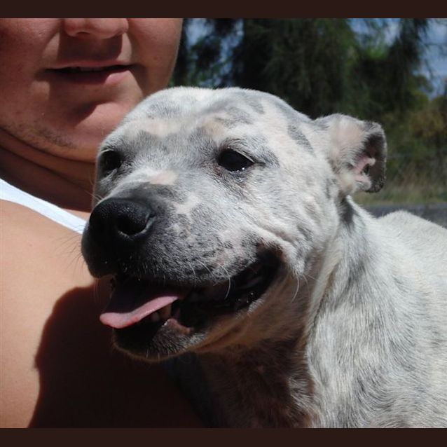 Photo of Missy