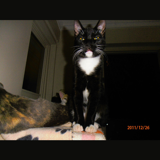 Photo of Tipsy