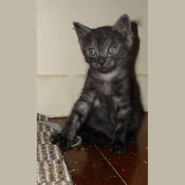Photo of Uno