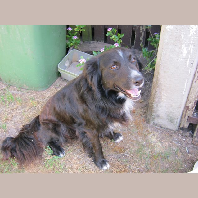 Photo of Calypso