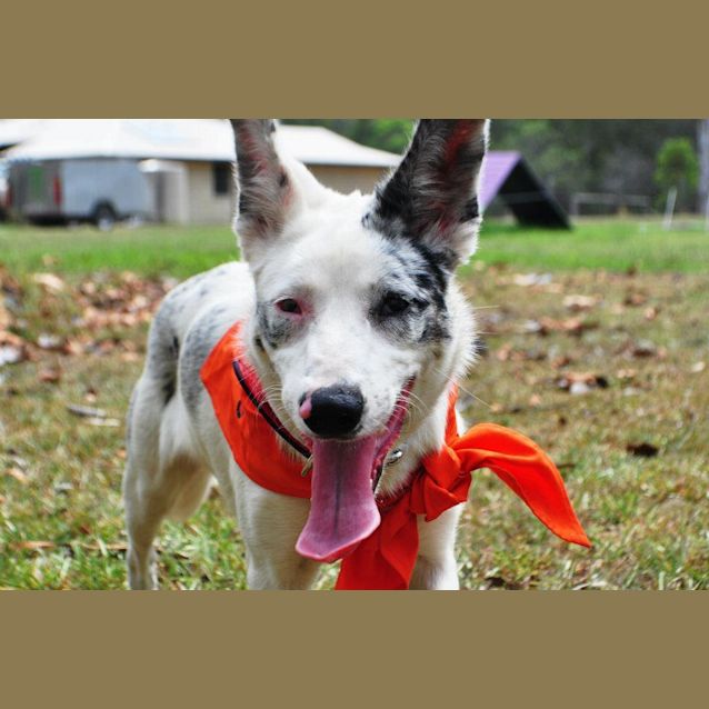 Photo of Deja