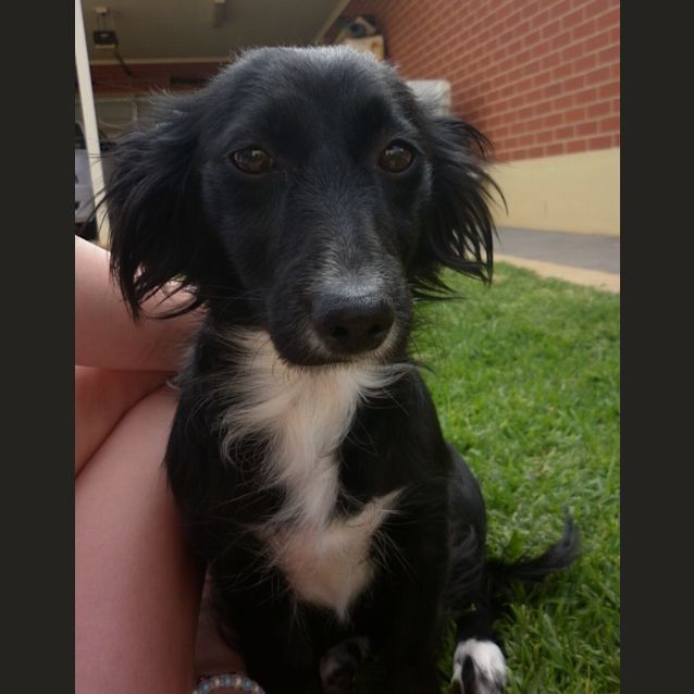 Photo of Nina *On Trial*