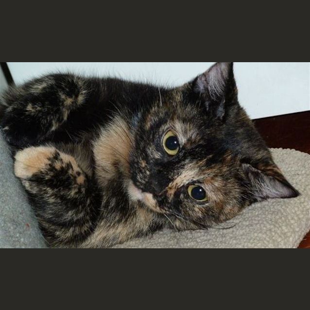 Photo of Mitzi