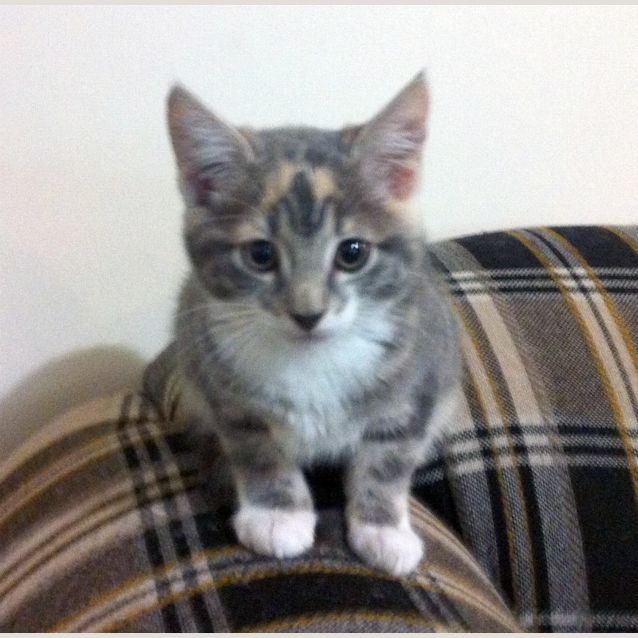 Photo of Myf   On Trial In Her New Home!