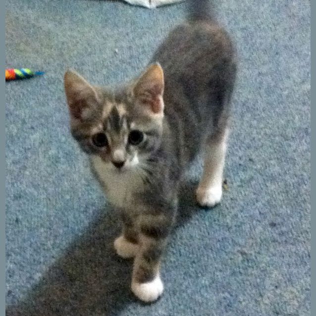 Photo of Myf   On Trial In Her New Home!