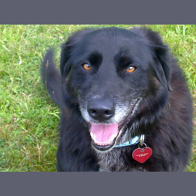 Photo of Jilly