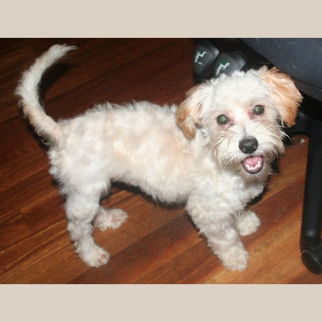 Photo of On Home Trial Pirate