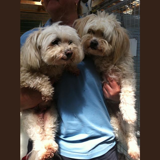 Photo of Bliss And Bomb