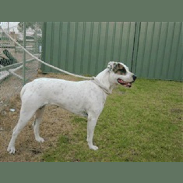 Photo of Graceful Girl In The Pound Deadline Wed