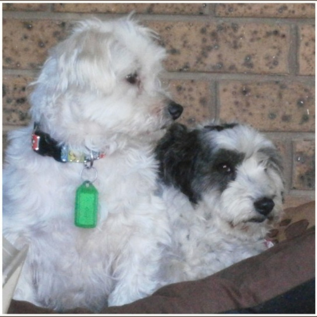 Photo of Perrin And Piper