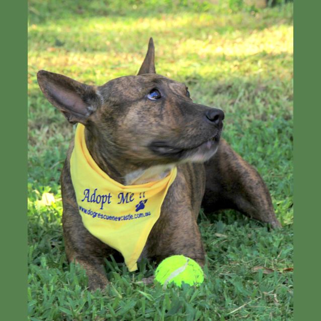 Photo of Meg (On Trial)