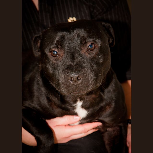 Photo of Wally