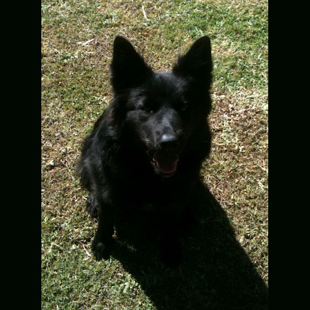 Photo of Missy