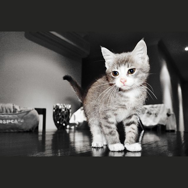Photo of Wynston