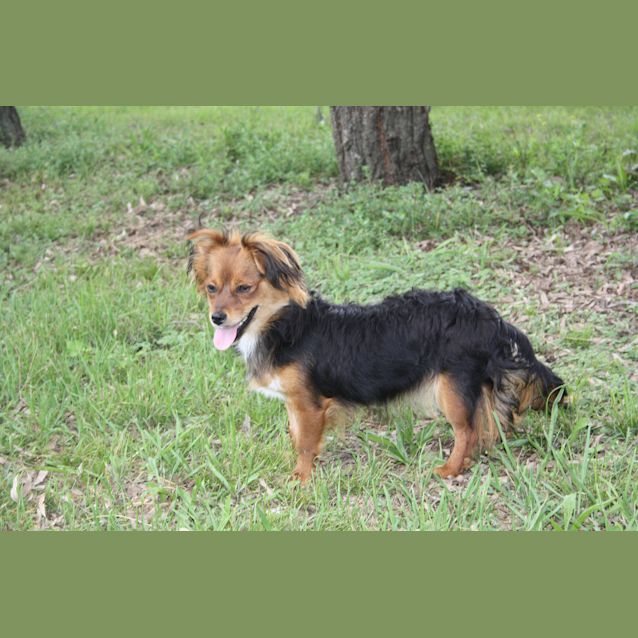 Photo of Mabel