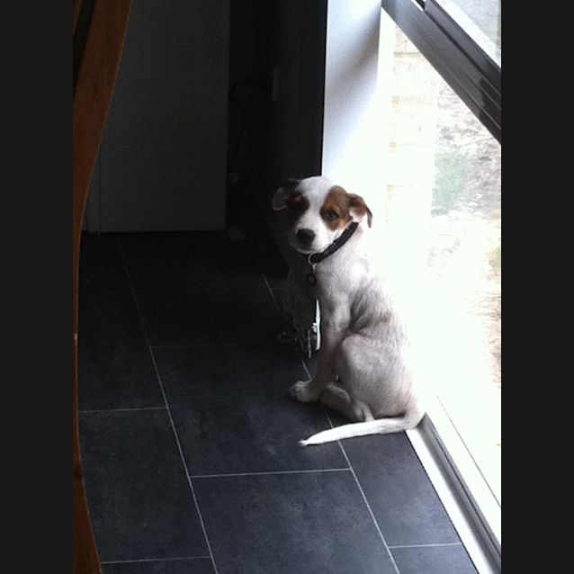 Photo of Clive Av342