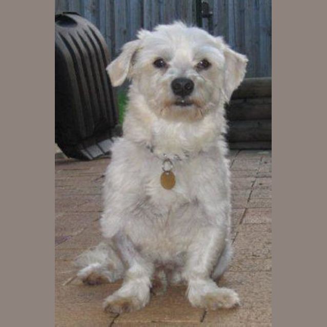 Photo of Poirot
