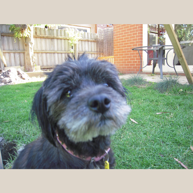 Photo of Tess