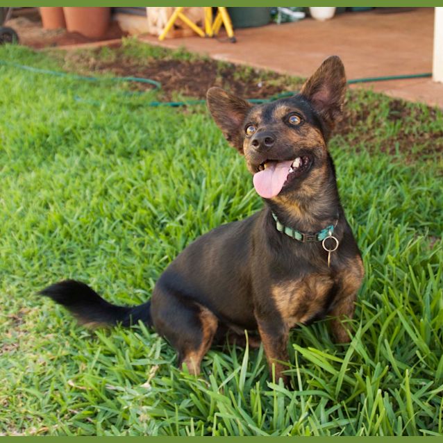 Photo of Lala Hd098
