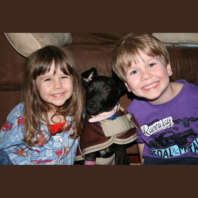 Photo of Pepper (On Trial)