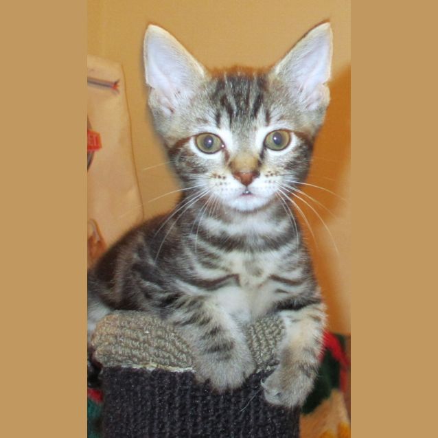 Photo of Hamish