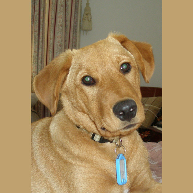 Photo of Jedd