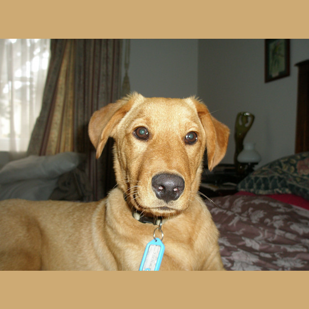 Photo of Jedd