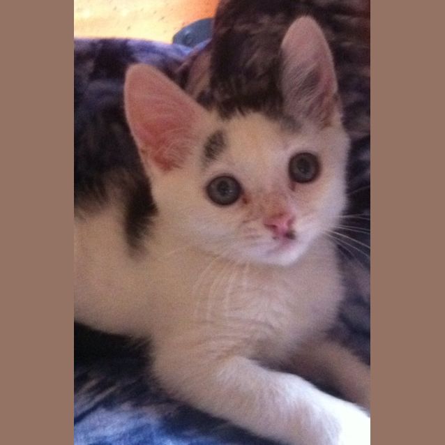 Photo of Billo