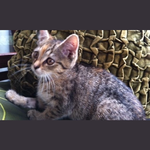 Photo of Mia