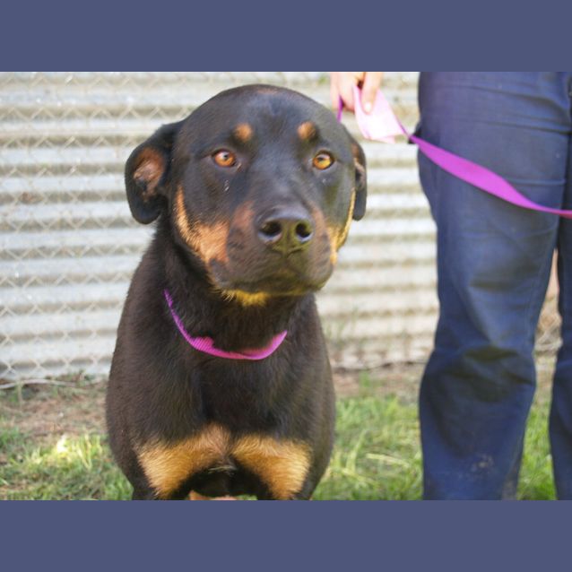Photo of Missy