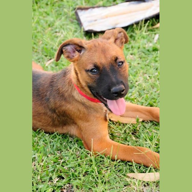 Photo of Zoe(d2015)