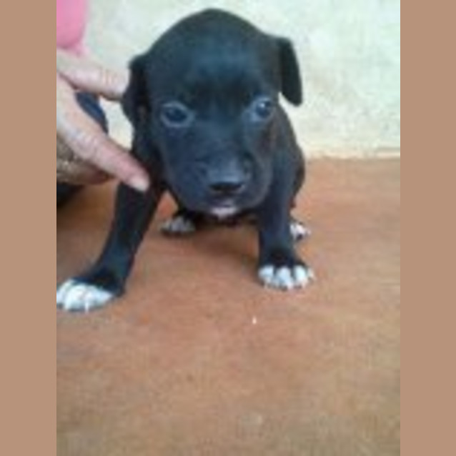 Photo of Missy