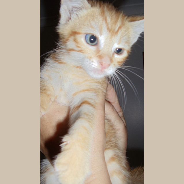 Photo of Ralph