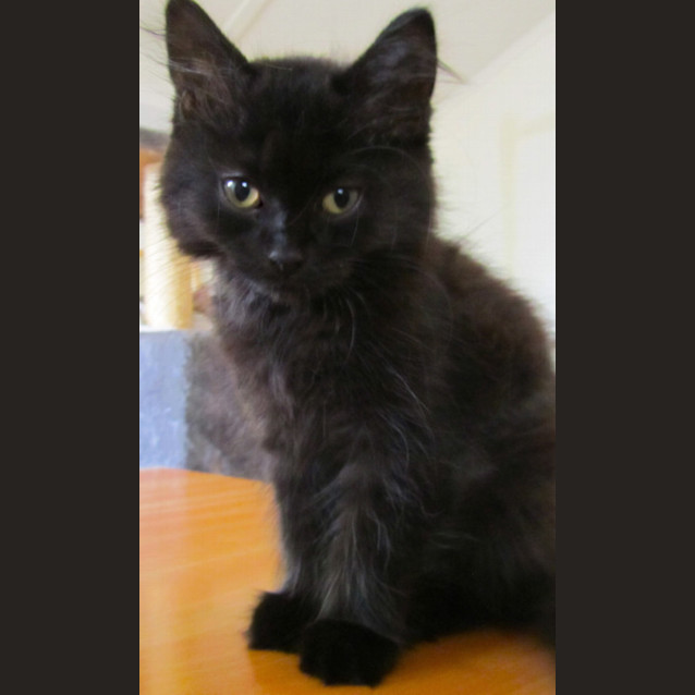 Photo of Cassy