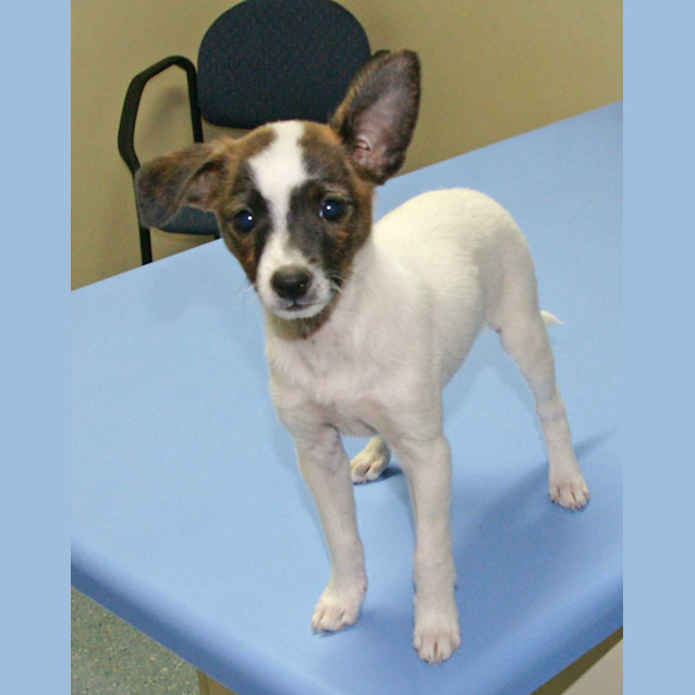 Photo of Clarice