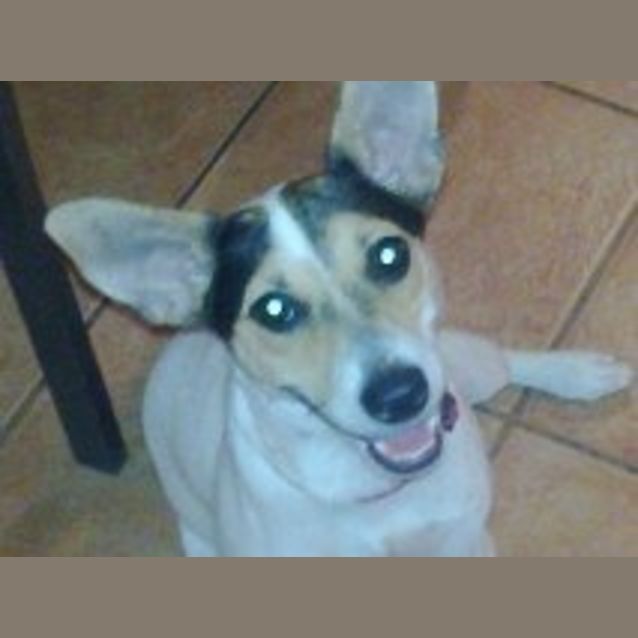 Photo of Ruby