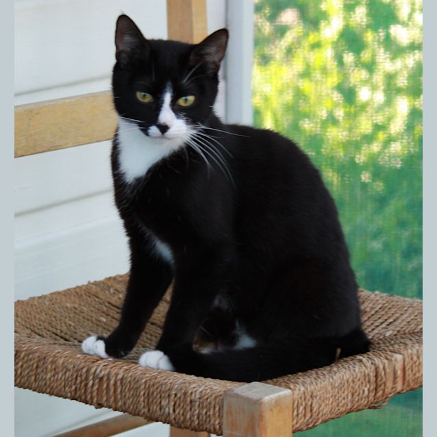 Photo of Suki